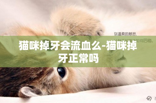 貓咪掉牙會流血么-貓咪掉牙正常嗎