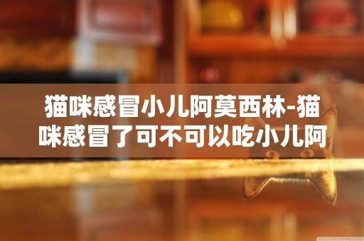 貓咪感冒小兒阿莫西林-貓咪感冒了可不可以吃小兒阿莫西林