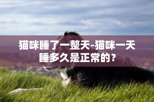 貓咪睡了一整天-貓咪一天睡多久是正常的？