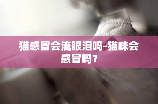 貓感冒會流眼淚嗎-貓咪會感冒嗎？