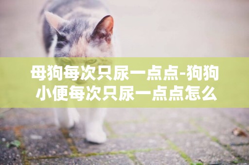 母狗每次只尿一點點-狗狗 小便每次只尿一點點怎么辦