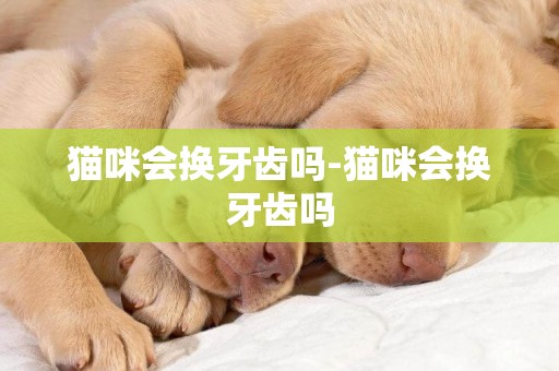 貓咪會換牙齒嗎-貓咪會換牙齒嗎