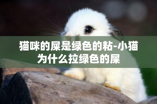 貓咪的屎是綠色的粘-小貓為什么拉綠色的屎