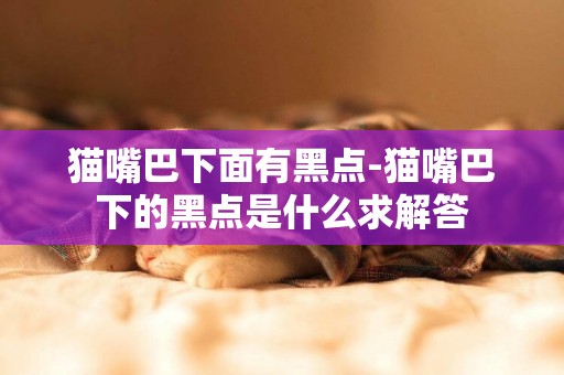貓嘴巴下面有黑點-貓嘴巴下的黑點是什么求解答