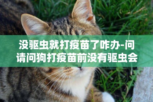 沒驅蟲就打疫苗了咋辦-問請問狗打疫苗前沒有驅蟲會有影響嗎