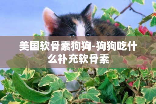 美國軟骨素狗狗-狗狗吃什么補充軟骨素