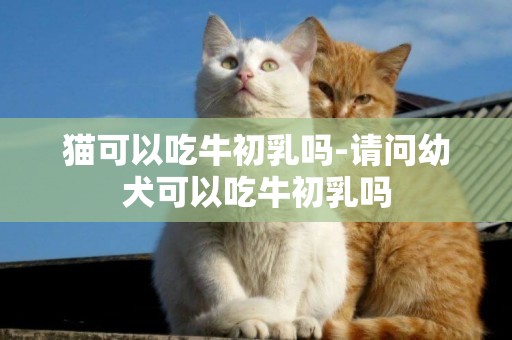 貓可以吃牛初乳嗎-請問幼犬可以吃牛初乳嗎