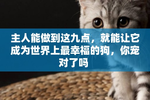 主人能做到這九點，就能讓它成為世界上最幸福的狗，你寵對了嗎 