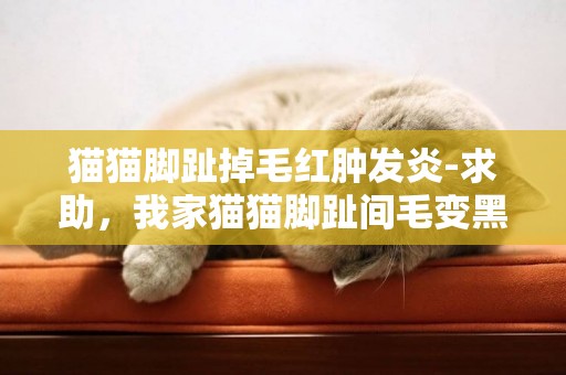貓貓腳趾掉毛紅腫發炎-求助，我家貓貓腳趾間毛變黑，里面肉有一點紅腫