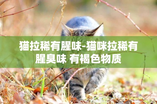 貓拉稀有腥味-貓咪拉稀有腥臭味 有褐色物質