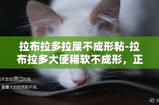 拉布拉多拉屎不成形粘-拉布拉多大便稀軟不成形，正常嗎