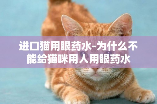 進口貓用眼藥水-為什么不能給貓咪用人用眼藥水