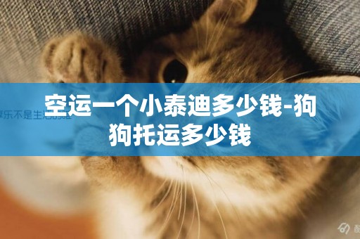 空運一個小泰迪多少錢-狗狗托運多少錢