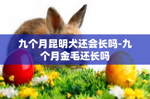 九個月昆明犬還會長嗎-九個月金毛還長嗎