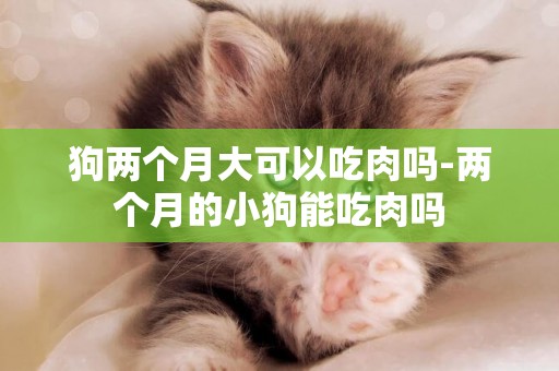 狗兩個月大可以吃肉嗎-兩個月的小狗能吃肉嗎