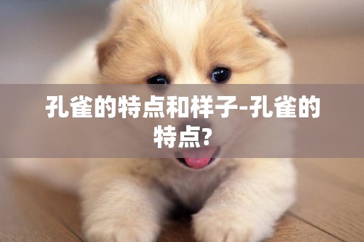 孔雀的特點和樣子-孔雀的特點?
