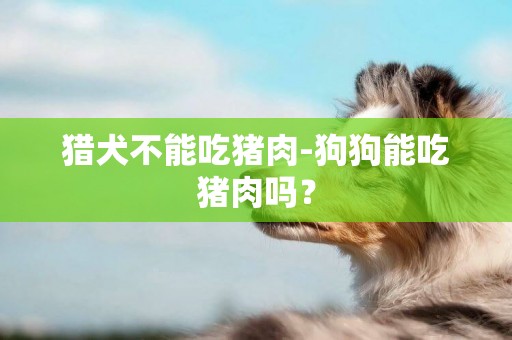 獵犬不能吃豬肉-狗狗能吃豬肉嗎？
