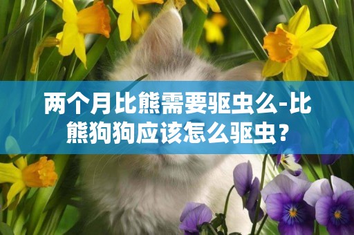 兩個月比熊需要驅蟲么-比熊狗狗應該怎么驅蟲？