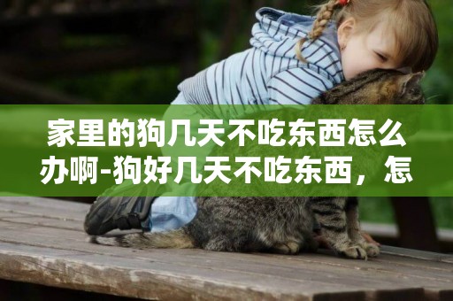 家里的狗幾天不吃東西怎么辦啊-狗好幾天不吃東西，怎么辦？