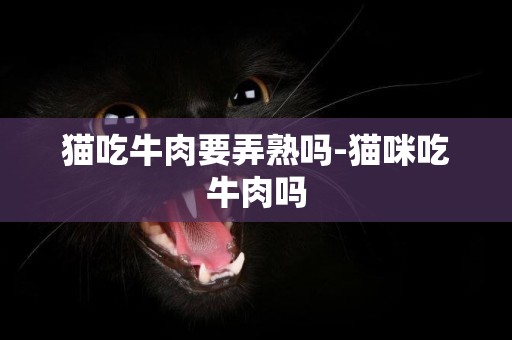 貓吃牛肉要弄熟嗎-貓咪吃牛肉嗎