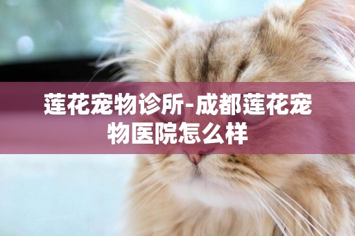 蓮花寵物診所-成都蓮花寵物醫院怎么樣
