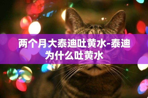 兩個月大泰迪吐黃水-泰迪為什么吐黃水