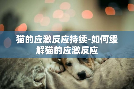 貓的應激反應持續-如何緩解貓的應激反應
