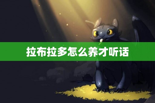 拉布拉多怎么養才聽話