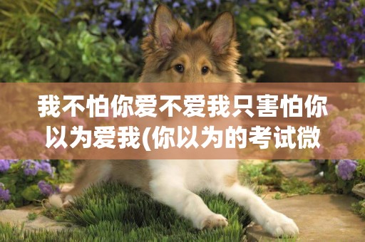 我不怕你愛不愛我只害怕你以為愛我(你以為的考試微信圖標) 