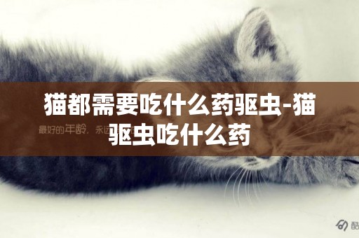 貓都需要吃什么藥驅蟲-貓驅蟲吃什么藥