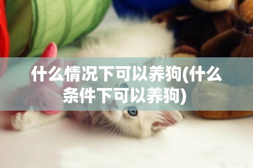 什么情況下可以養狗(什么條件下可以養狗) 