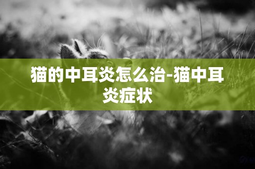 貓的中耳炎怎么治-貓中耳炎癥狀