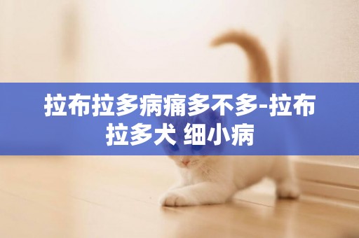 拉布拉多病痛多不多-拉布拉多犬 細小病