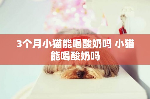 3個月小貓能喝酸奶嗎 小貓能喝酸奶嗎