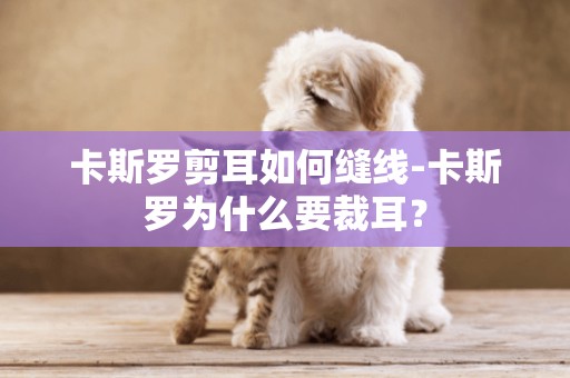卡斯羅剪耳如何縫線-卡斯羅為什么要裁耳？