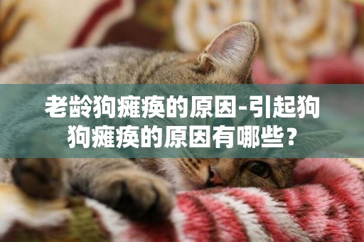 老齡狗癱瘓的原因-引起狗狗癱瘓的原因有哪些？