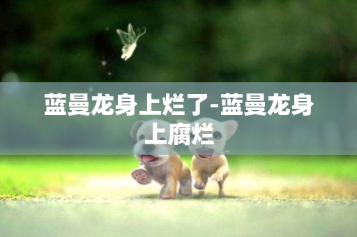 藍曼龍身上爛了-藍曼龍身上腐爛