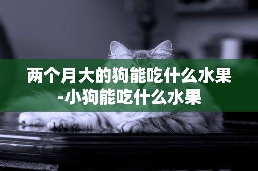 兩個月大的狗能吃什么水果-小狗能吃什么水果