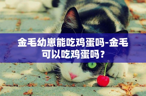 金毛幼崽能吃雞蛋嗎-金毛可以吃雞蛋嗎？