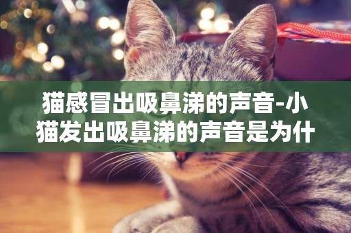 貓感冒出吸鼻涕的聲音-小貓發出吸鼻涕的聲音是為什么