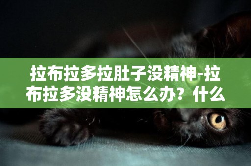 拉布拉多拉肚子沒精神-拉布拉多沒精神怎么辦？什么原因？