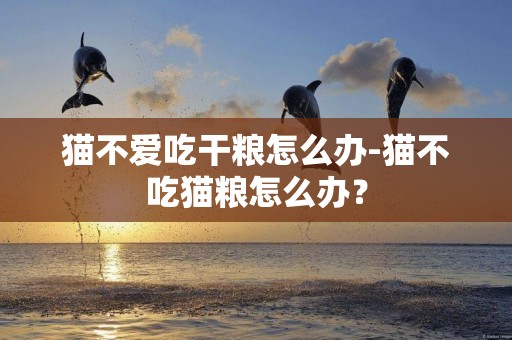貓不愛吃干糧怎么辦-貓不吃貓糧怎么辦？