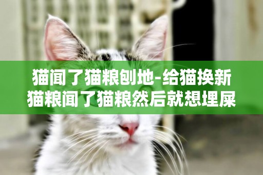 貓聞了貓糧刨地-給貓換新貓糧聞了貓糧然后就想埋屎一樣在哪