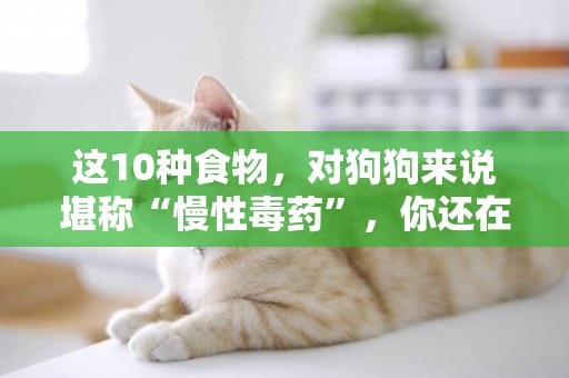 這10種食物，對狗狗來說堪稱“慢性毒藥”，你還在喂食狗狗嗎？ 