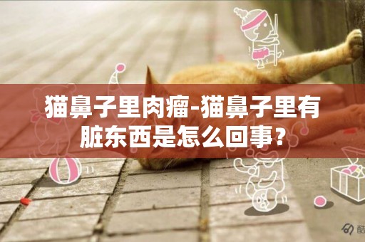 貓鼻子里肉瘤-貓鼻子里有臟東西是怎么回事？