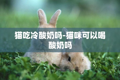 貓吃冷酸奶嗎-貓咪可以喝酸奶嗎