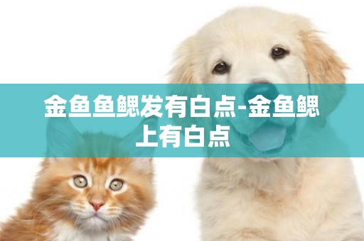 金魚魚鰓發有白點-金魚鰓上有白點