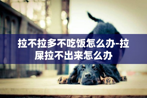 拉不拉多不吃飯怎么辦-拉屎拉不出來怎么辦