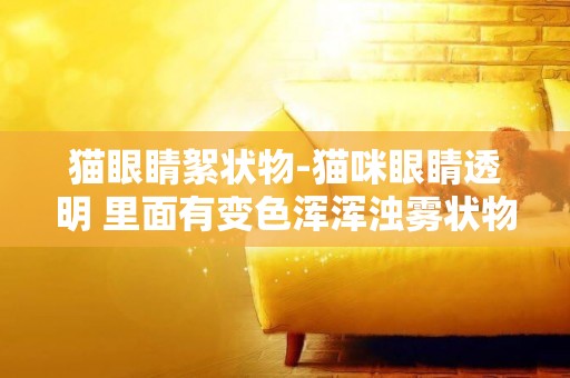 貓眼睛絮狀物-貓咪眼睛透明 里面有變色渾渾濁霧狀物