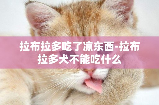 拉布拉多吃了涼東西-拉布拉多犬不能吃什么